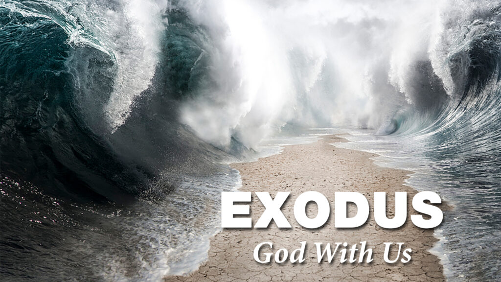 Exodus 35 | Willing Hearts