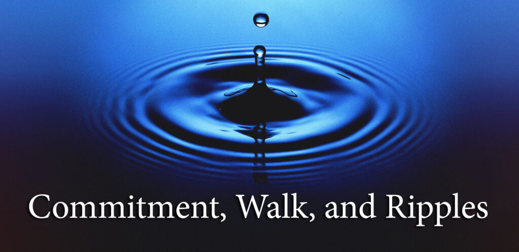 Commitment, Walk, and Ripples