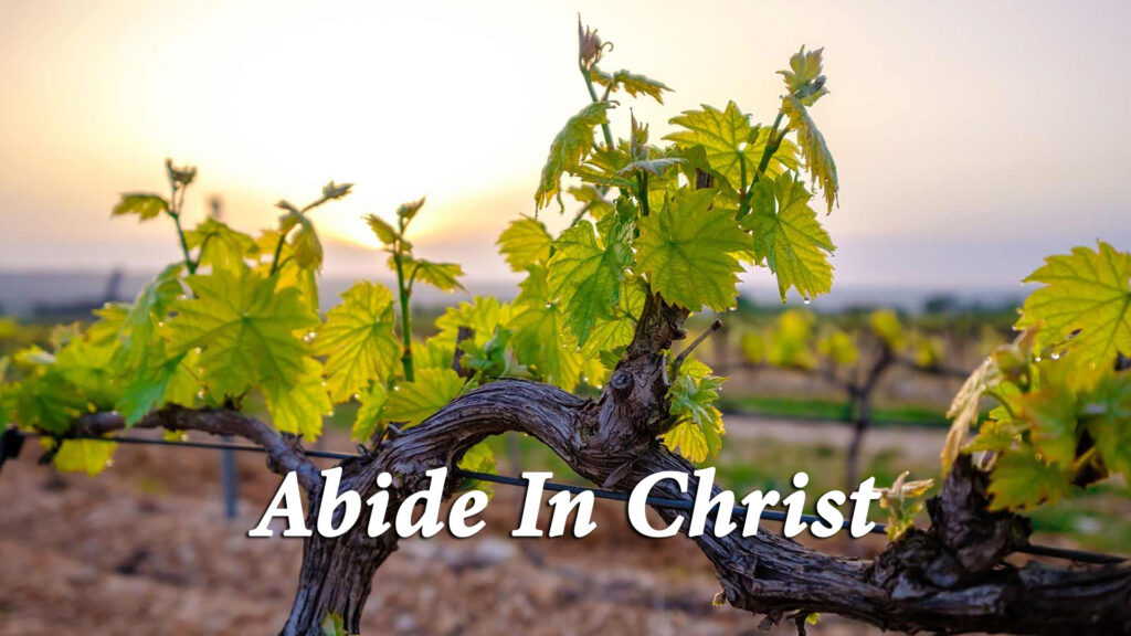 John 15:1-11 | “Abide In Christ”