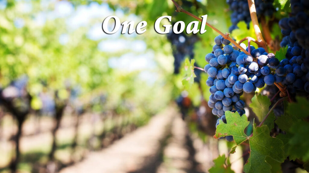 “One Goal”